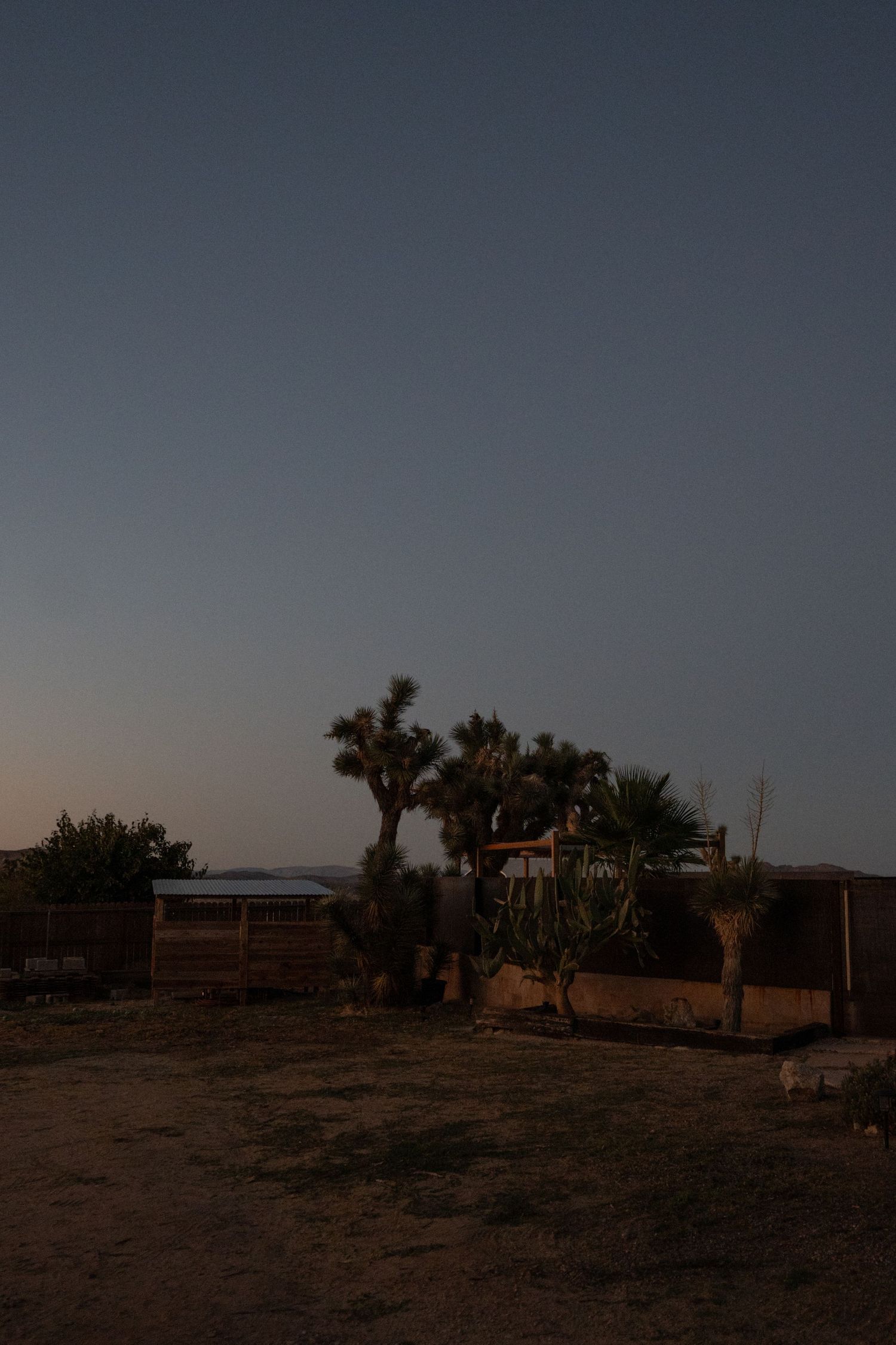 Desert landscape at dusk with rustic buildings and Joshua trees silhouetted against a darkening sky.