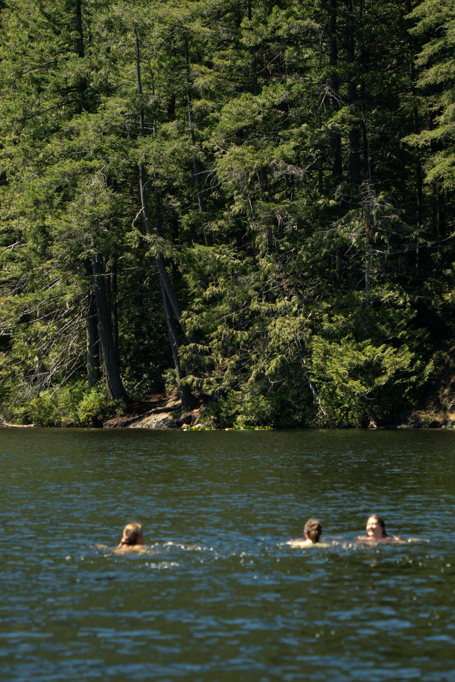 People swimming in a lake surrounded by dense forest on a sunny day.
