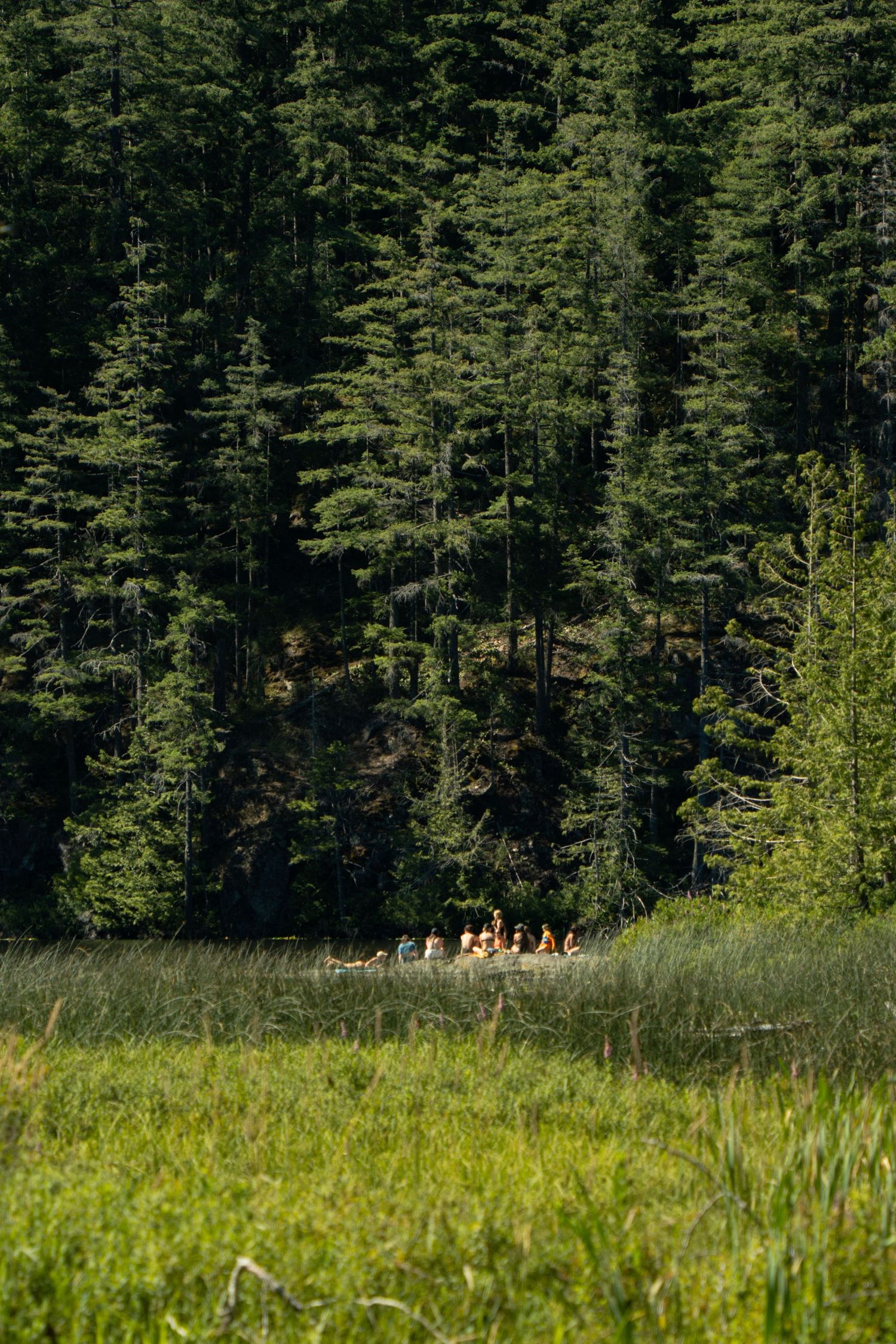 Row of people sitting by a lake against towering evergreen forest backdrop.