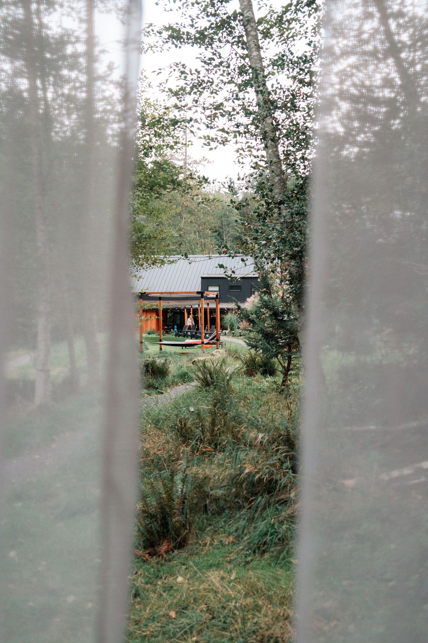 View through window of a rustic cabin nestled among trees and foliage.