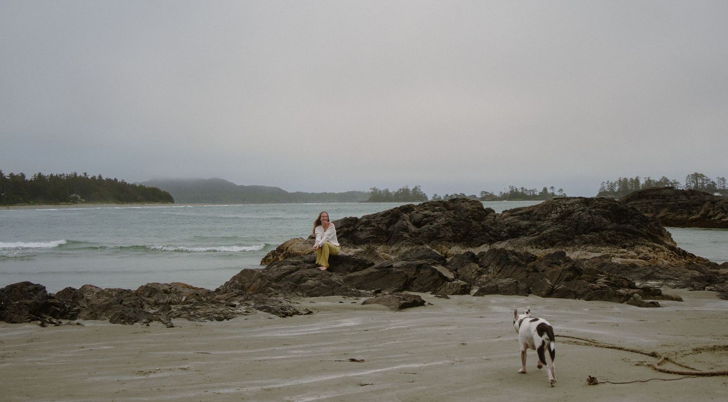 Rocky coastal beach scene with waves crashing and mountains in the distance.