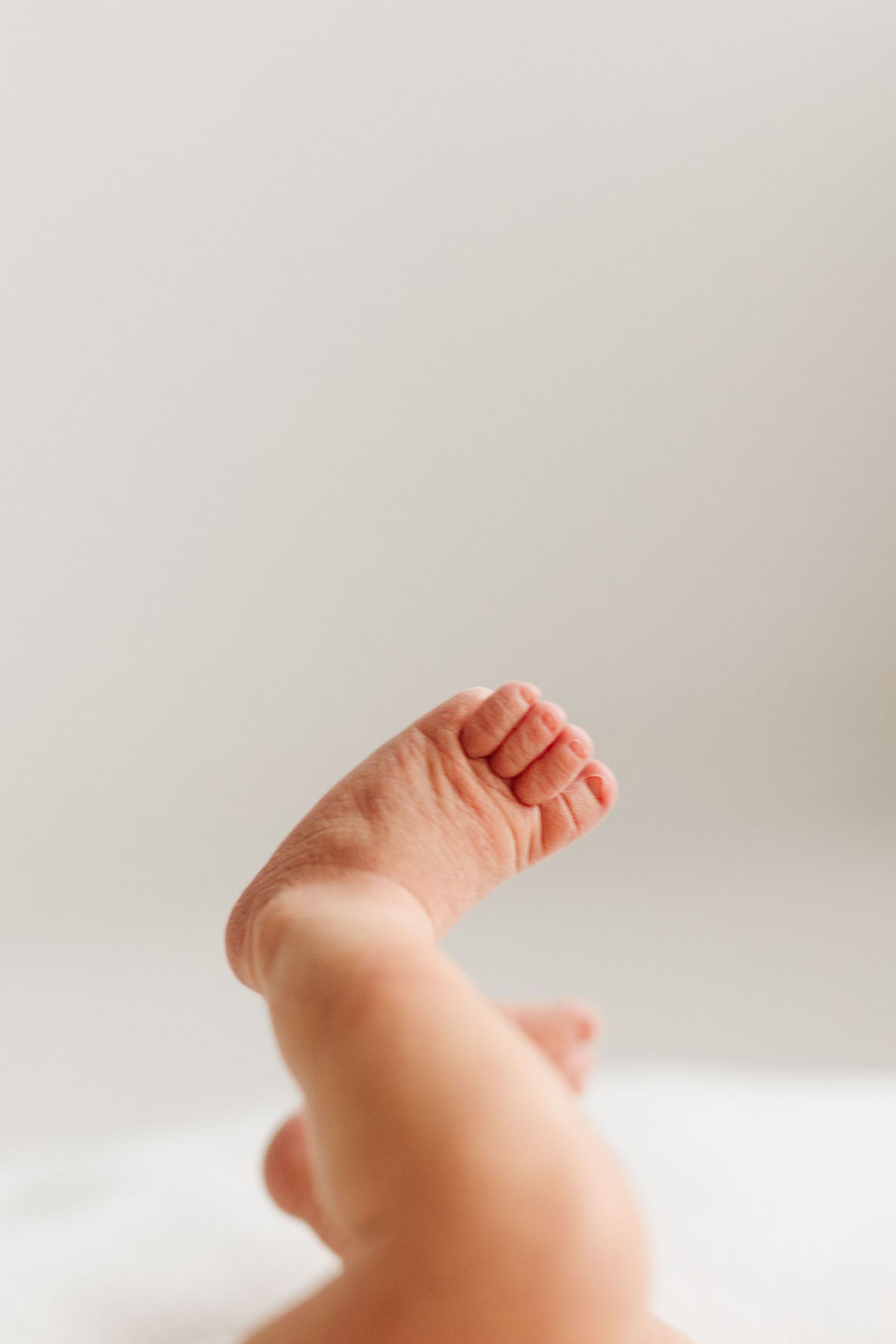 Newbornkuvaus | Jasmine Grahn | valokuvaaja Ulvila |
https://www.jasminegrahn.fi/