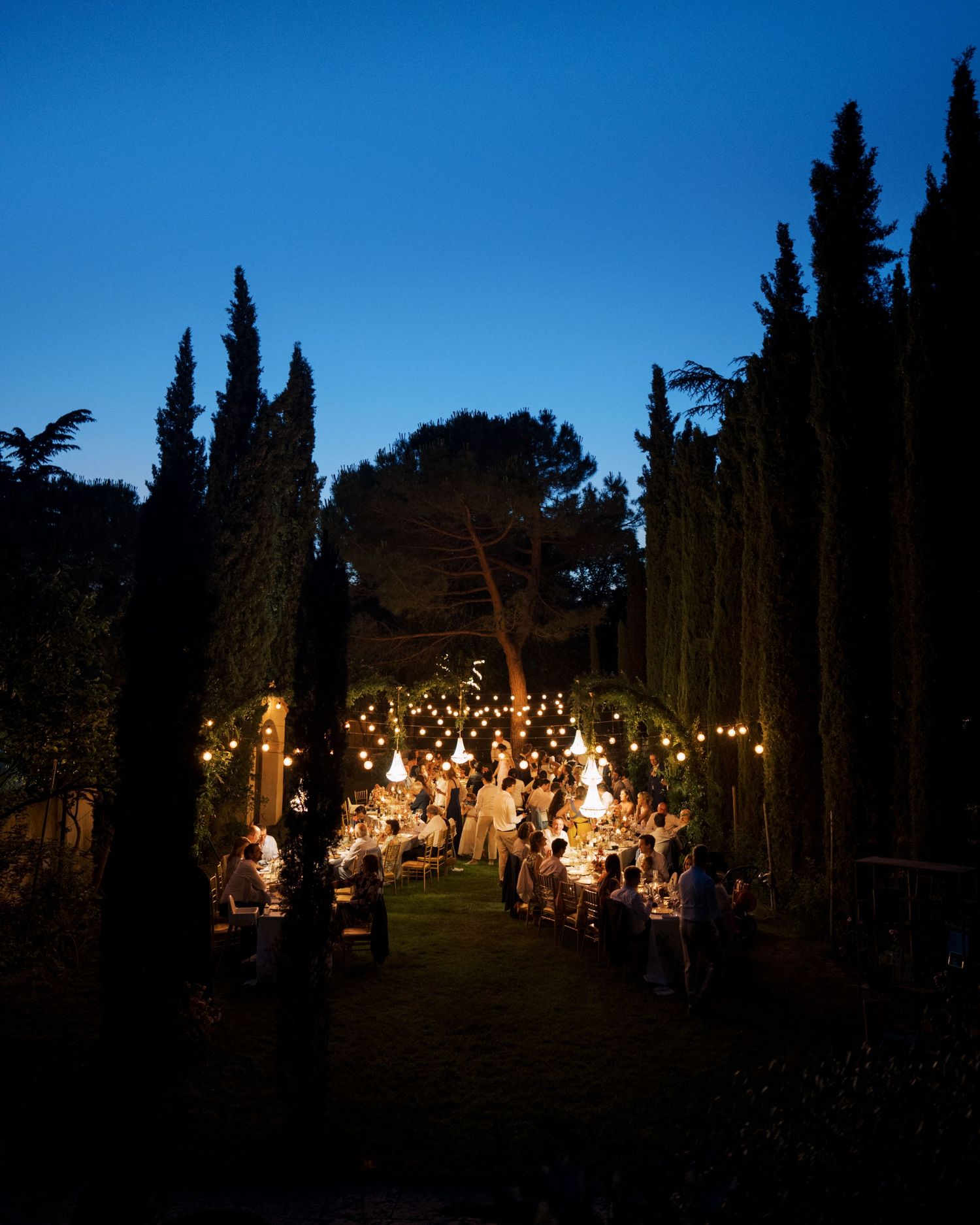 Elegant outdoor evening wedding reception with string lights glowing among tall cypress trees at dusk.
