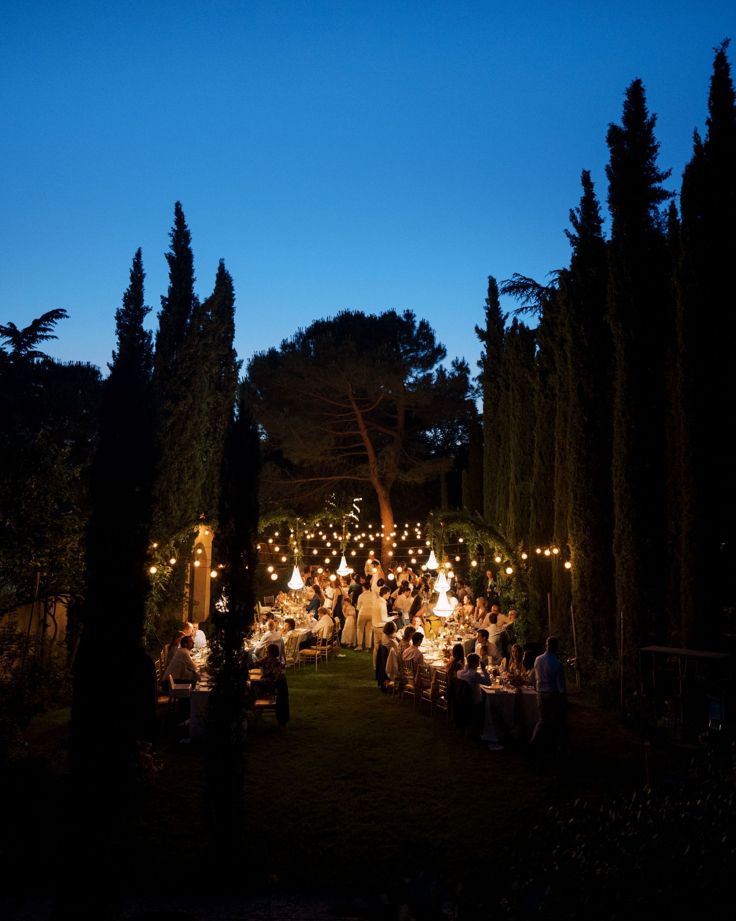 An outdoor evening wedding reception path illuminated by string lights among tall cypress trees in a garden setting.