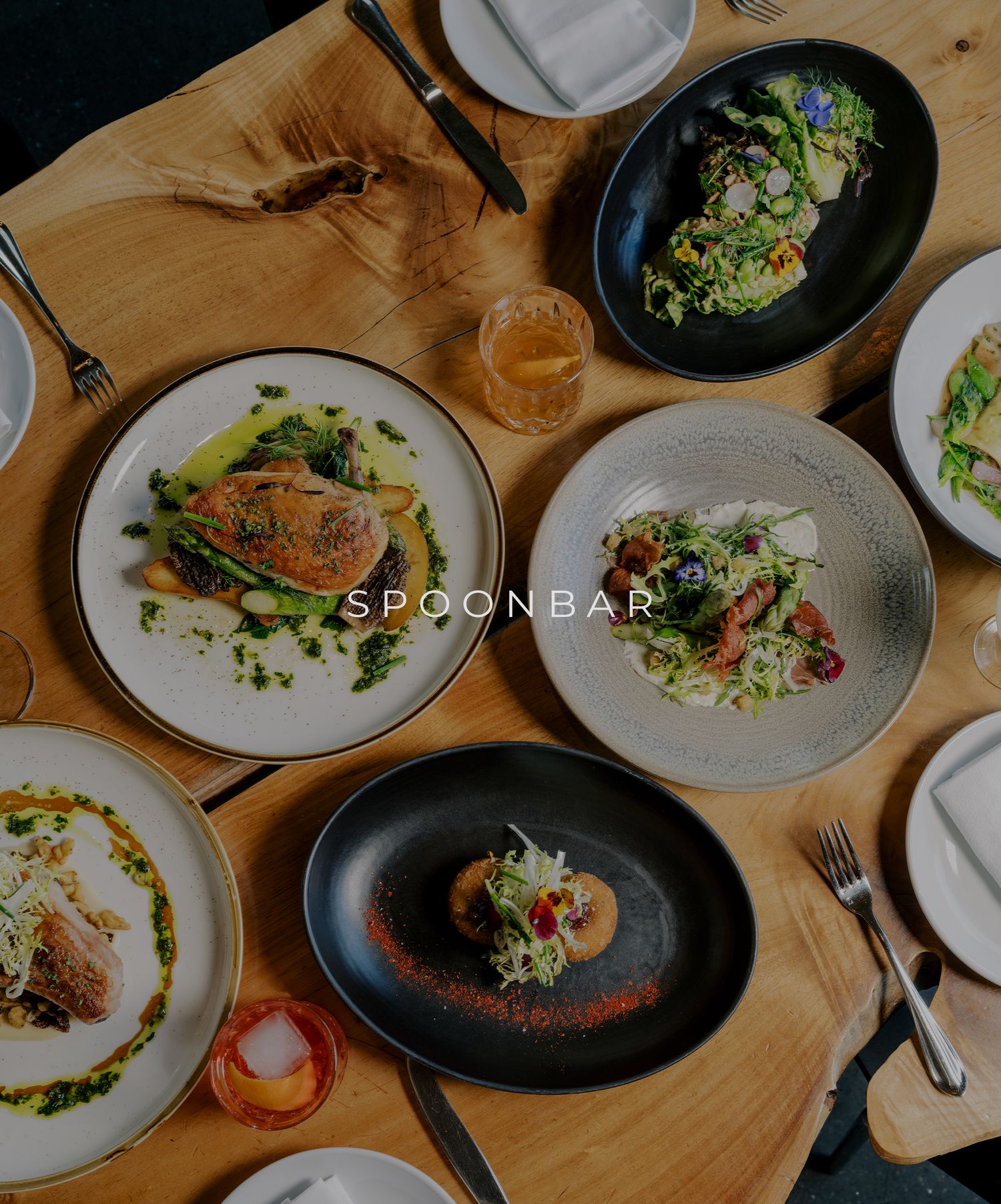 Elegant plated dishes featuring grilled fish and vibrant salads served on dark and light plates at an upscale restaurant.