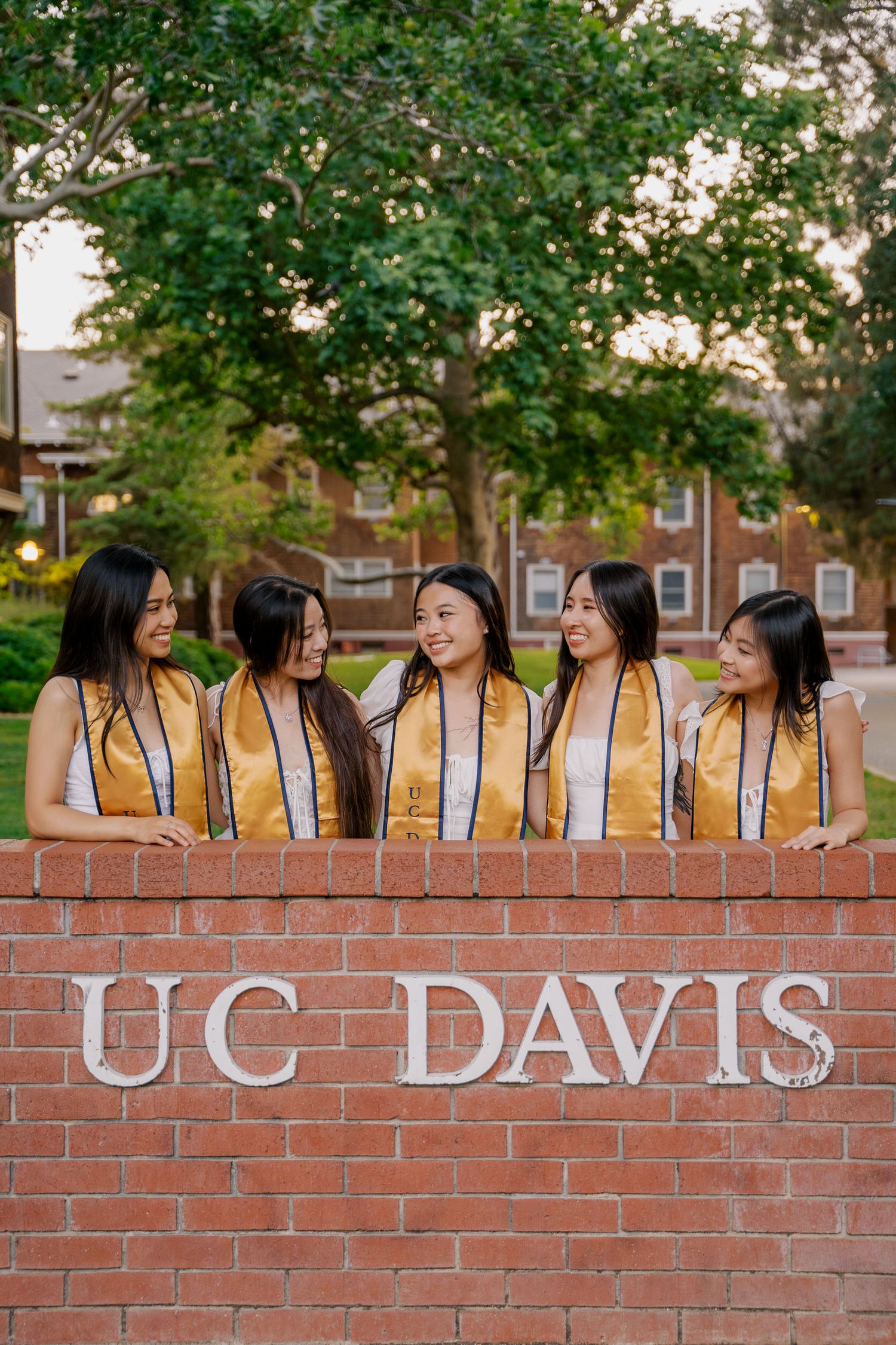 Graduates in gold stoles pose together on UC Davis brick entrance sign.