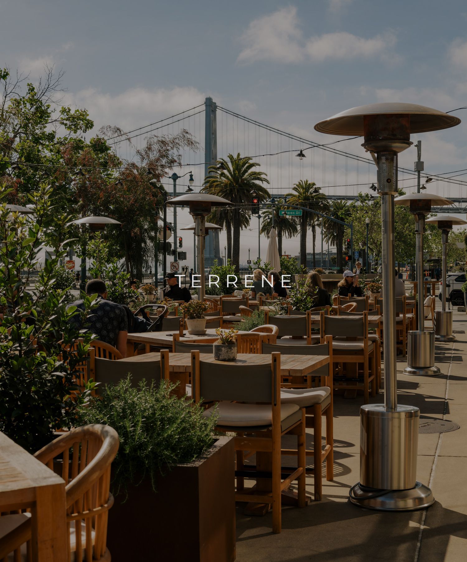 Modern rooftop dining terrace with wooden furniture, lush plants, and string lights creating an elegant outdoor atmosphere.