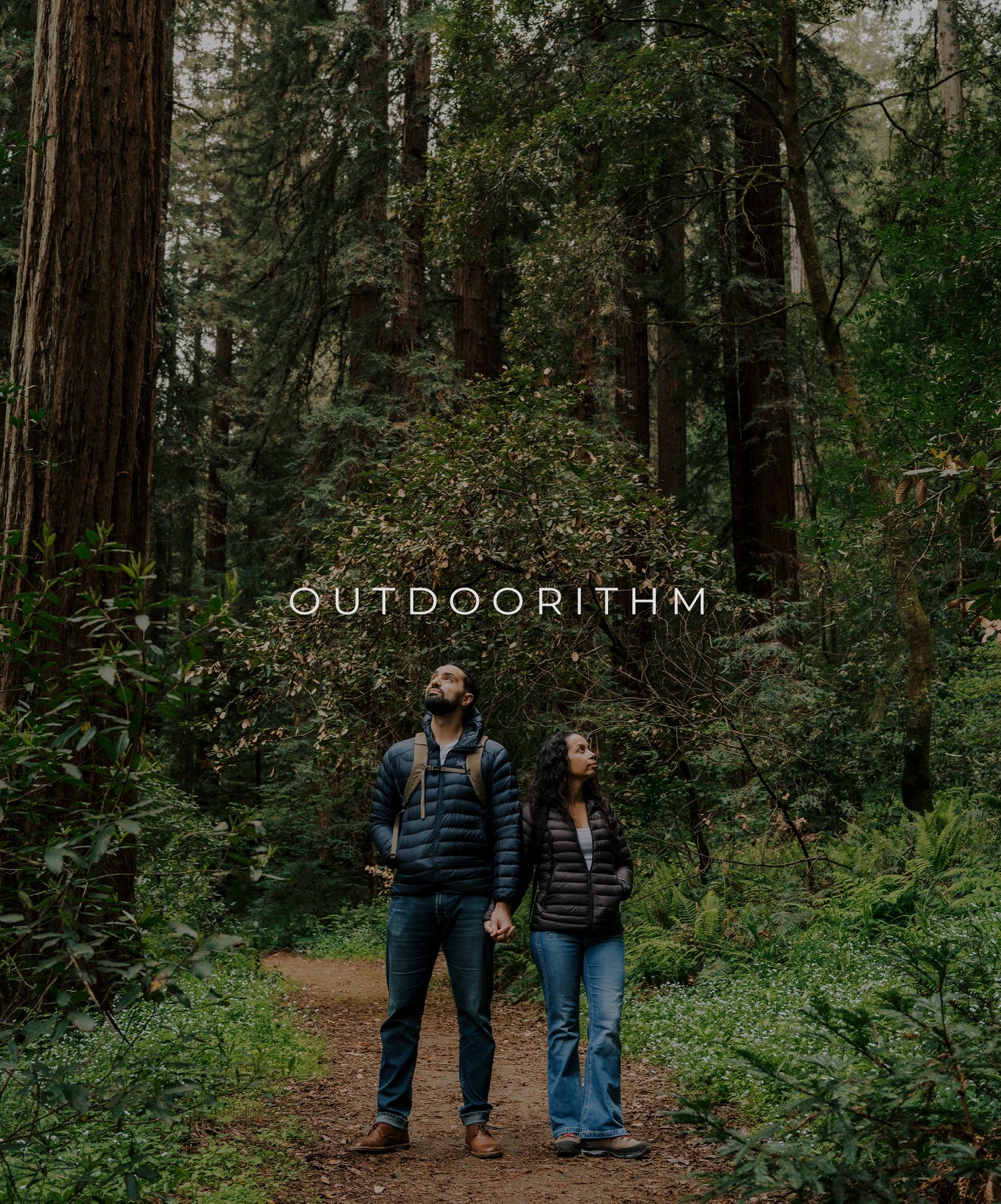 Two people stand on a forest trail surrounded by tall redwood trees with text overlay reading Outdoorithm.