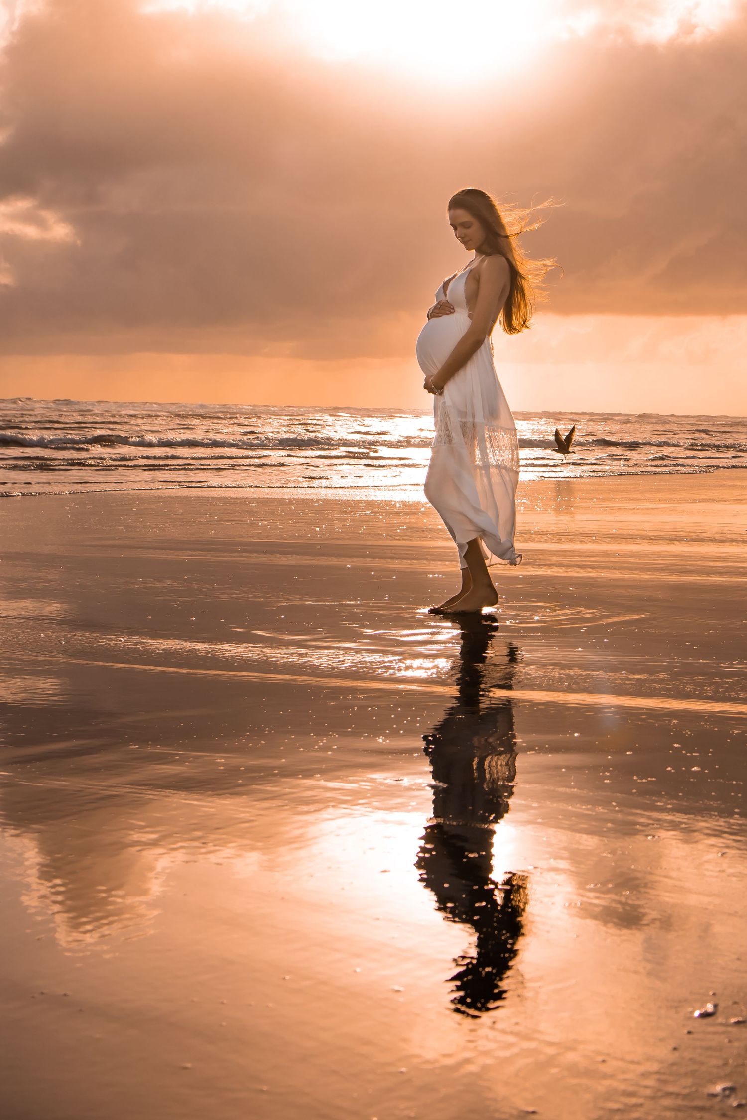 Sunset at  beach, pregnant woman clutches at her belly. Bird flying. wet sans with mirror image reflecting of what's above. Maternity photo