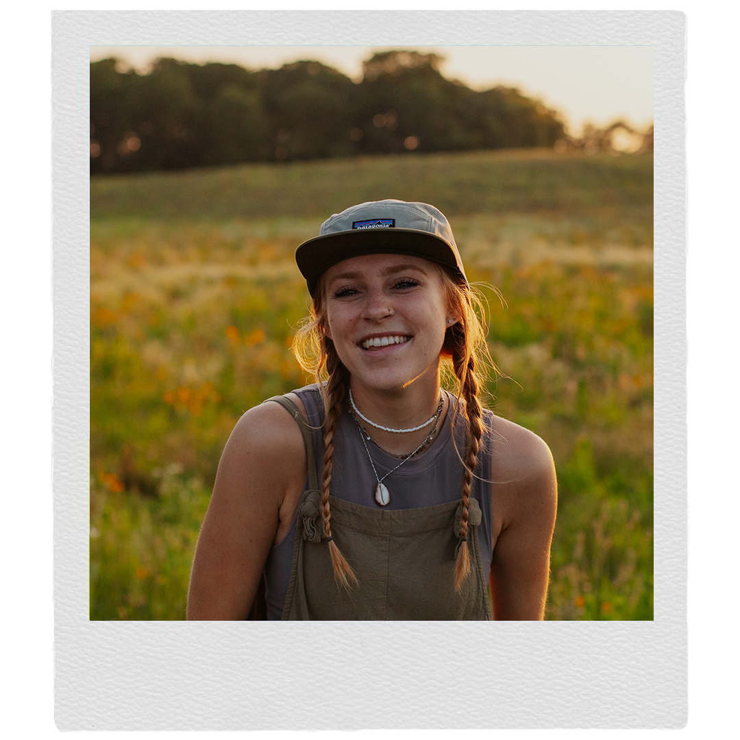 Candid portrait of someone wearing a baseball cap and braids in a sunlit field at golden hour.