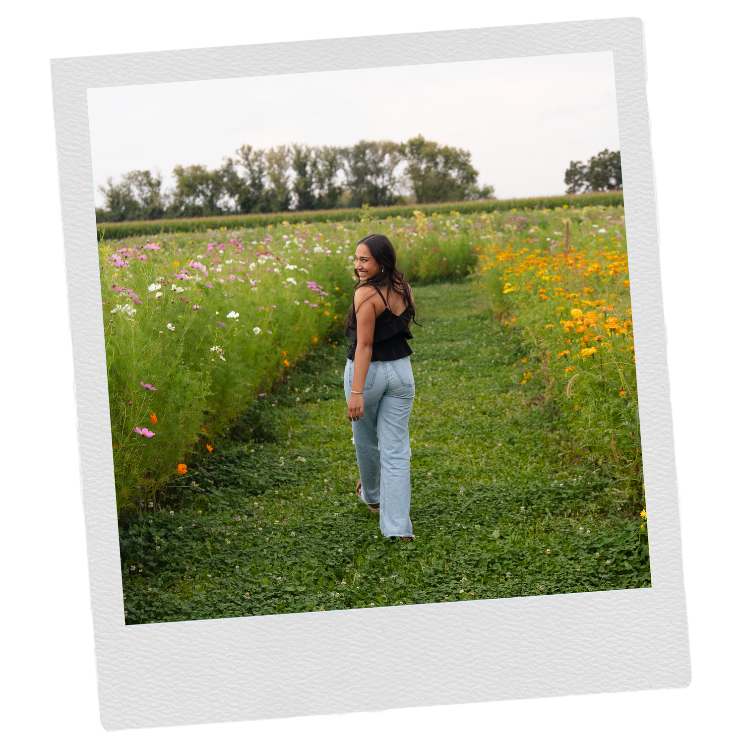 Series of polaroid-style senior photos showing a field of wildflowers on a sunny day in Wisconsin.