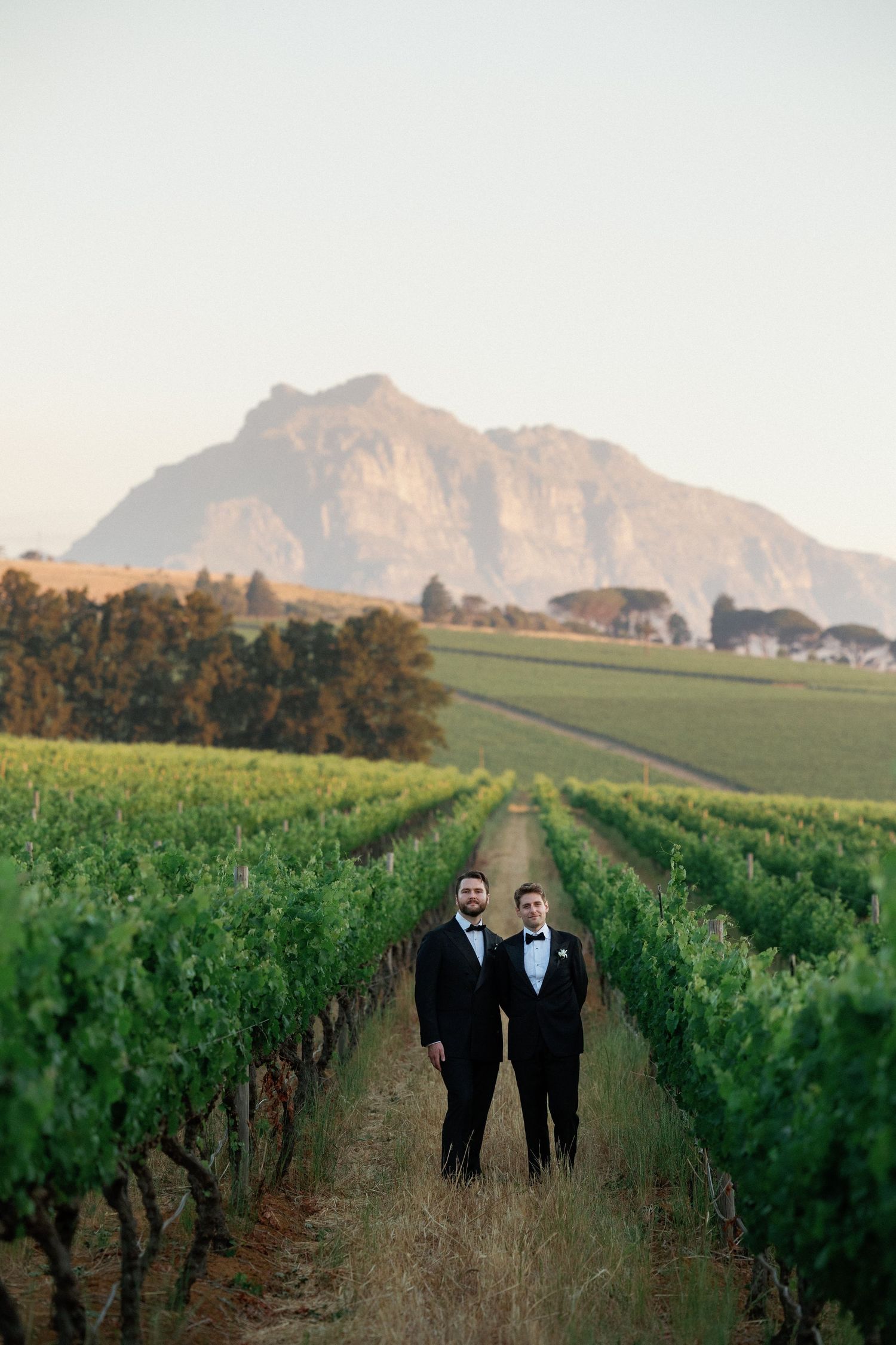 Two people in formal attire walking between rows of grapevines with mountains in the background at a vineyard.