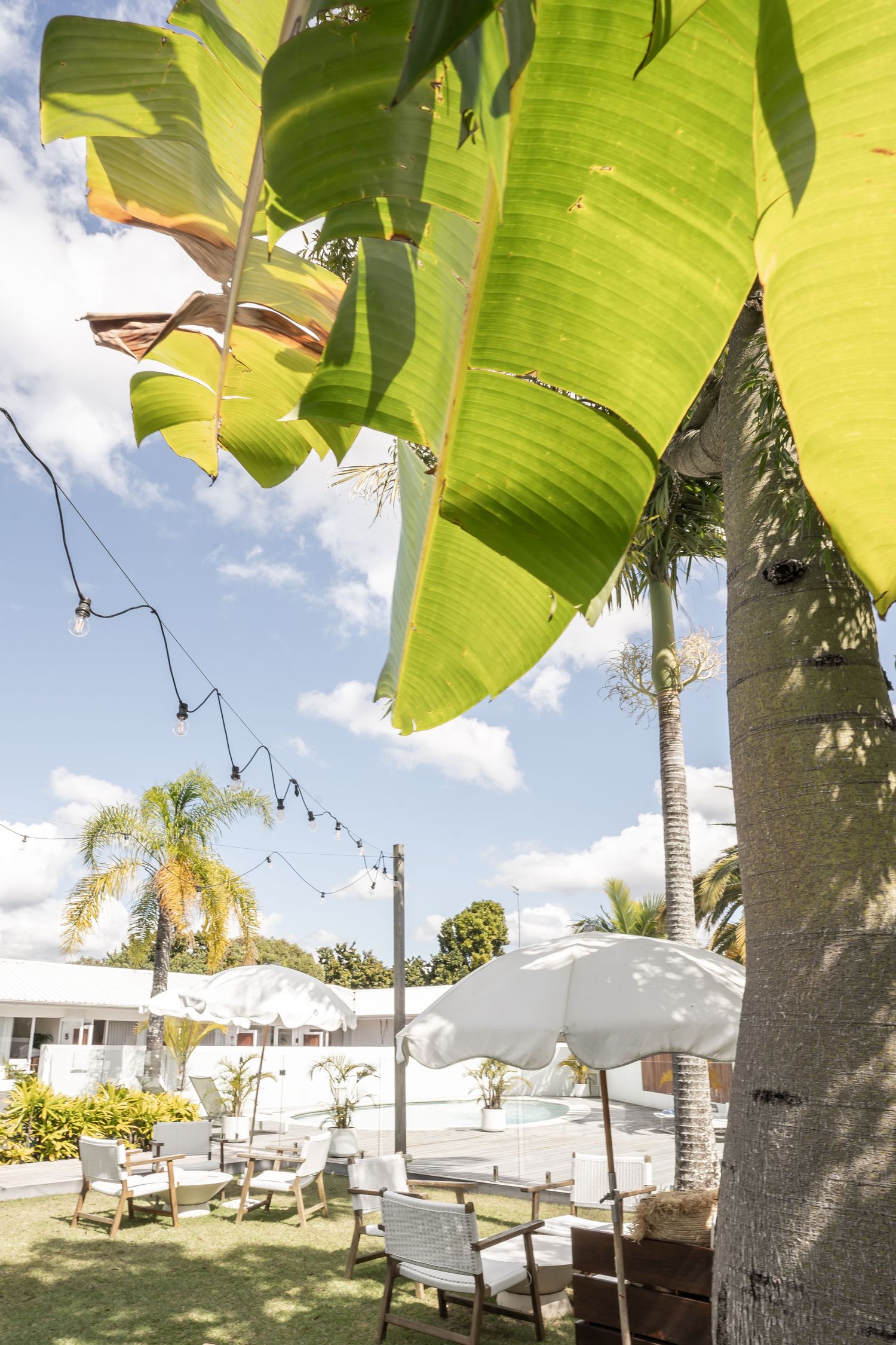 Large banana leaves frame outdoor lounge area with string lights and white umbrellas.