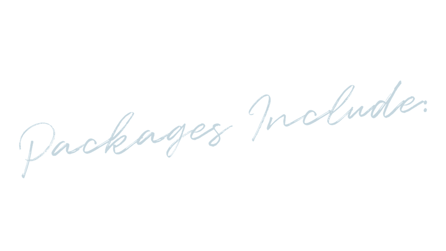 Elegant script text reading 'Packages Include' in light blue handwriting style.