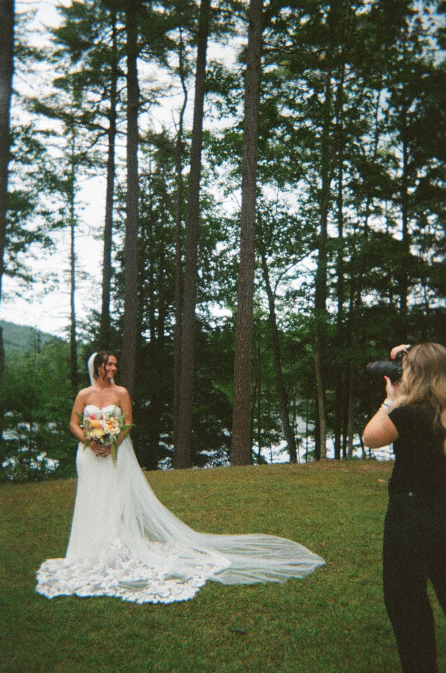 Wedding photography session in a pine forest with flowing white dress and veil.