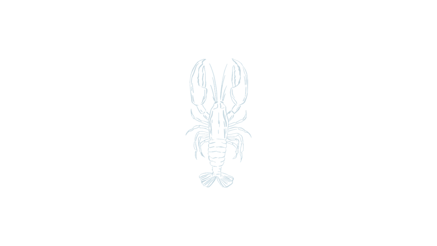 Simple blue line art design showing minimalist floral and decorative motifs.