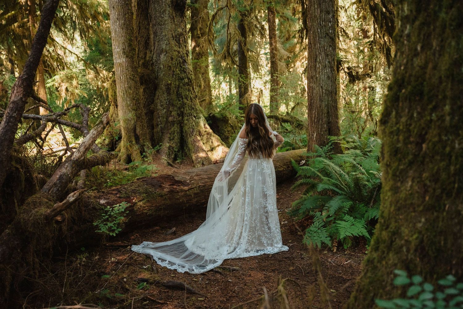 Bride admiring her wedding gown while surrounded by tall moss-covered tress in the hall of Moses in Olympic National Park