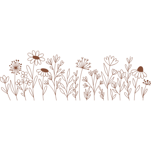 Delicate brown line art wildflowers and daisies border illustration on white background.