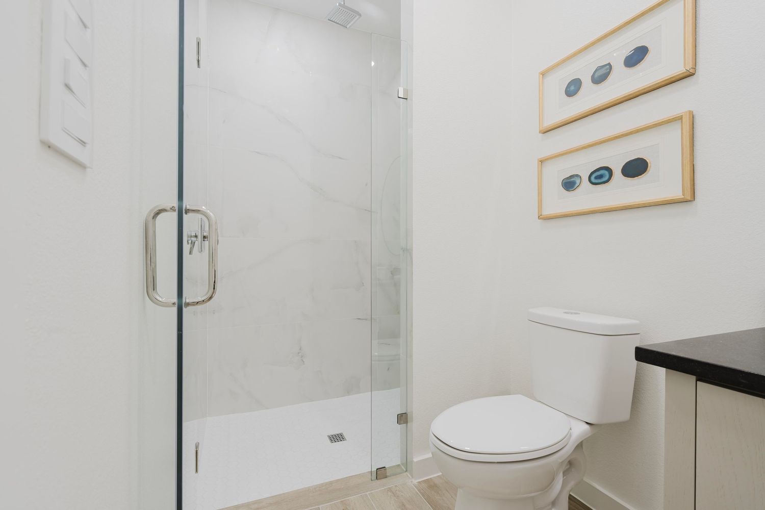 Contemporary bathroom with glass shower enclosure, toilet, and artistic wall decor.