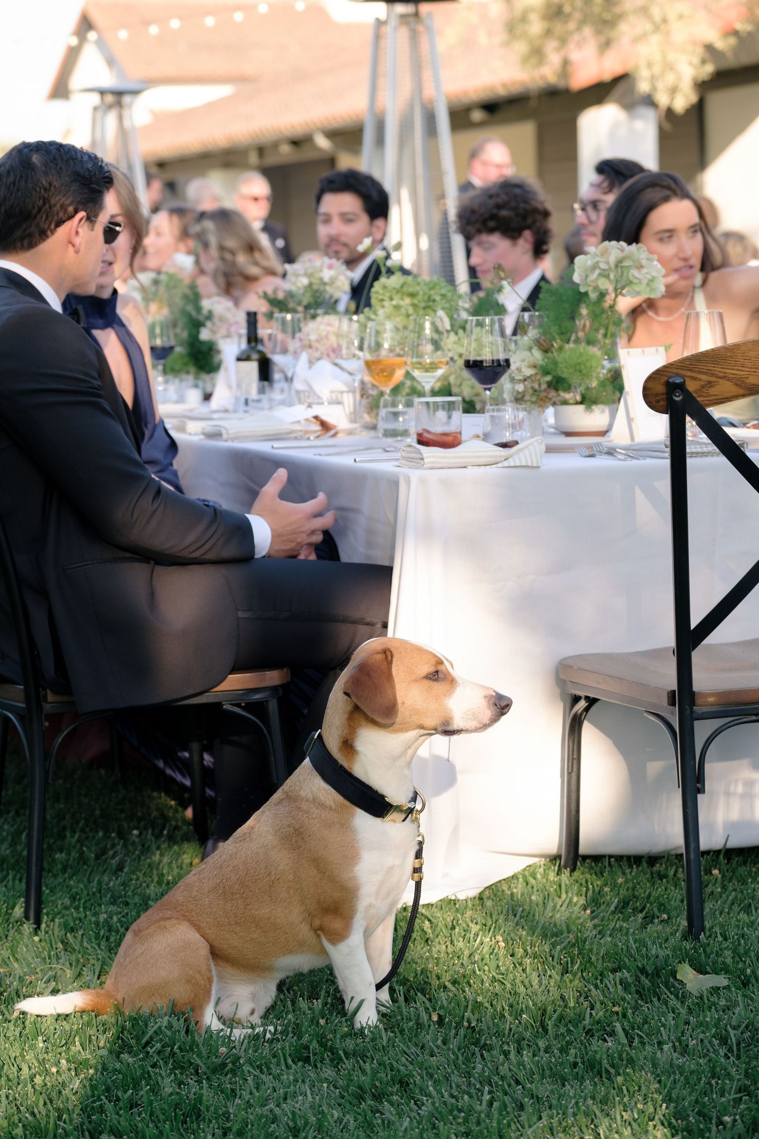 Cocktail hour for Santa Ynez Ranch Wedding