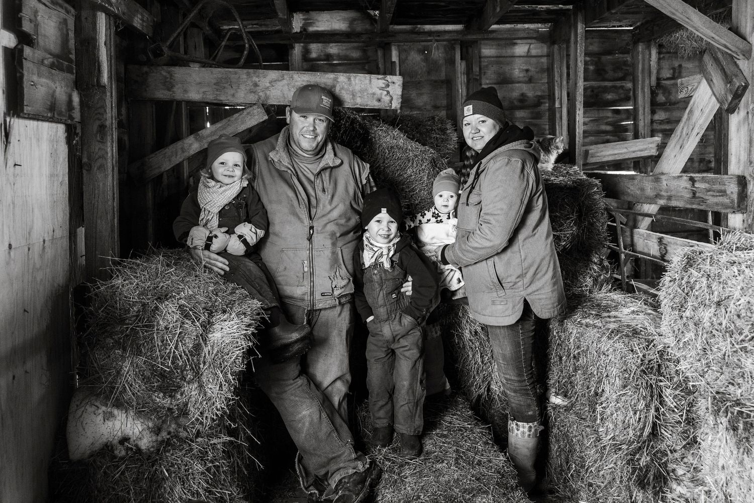 Saskatchewan cattle family, lifestyle session, candid photos, barn, agriculture,  Saskatchewan photographer, life captured, rural life