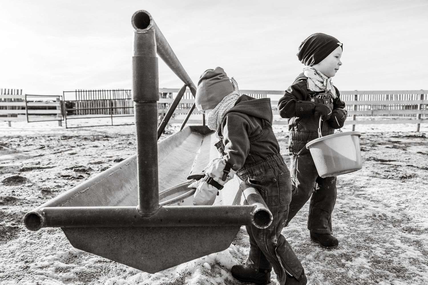 farm kids playing outside, lifestyle session, ranching photography, cattle farm, Saskatchewan cattle kids, prairie kids, candid photography