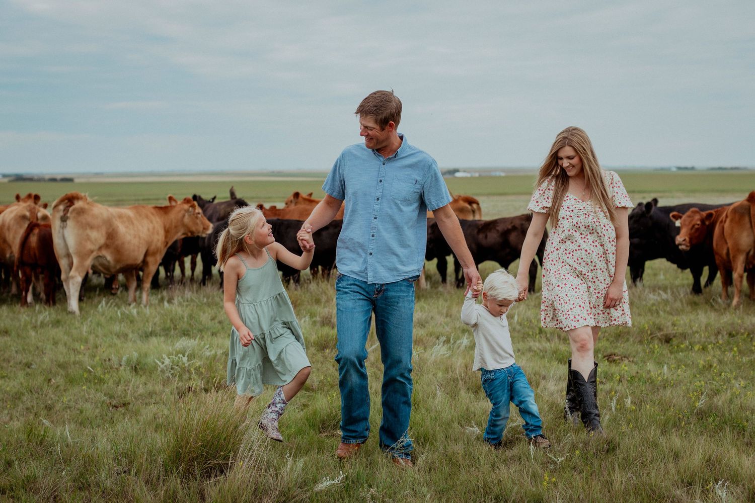 A group walks together through a grassy field with grazing cattle in the background on a sunny day.