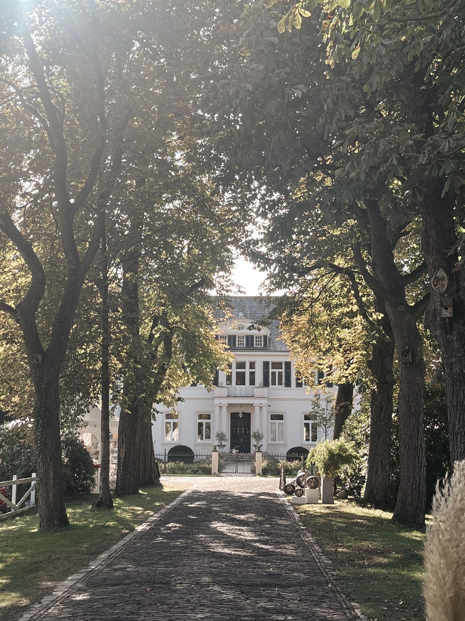 Hochzeitsfotografie