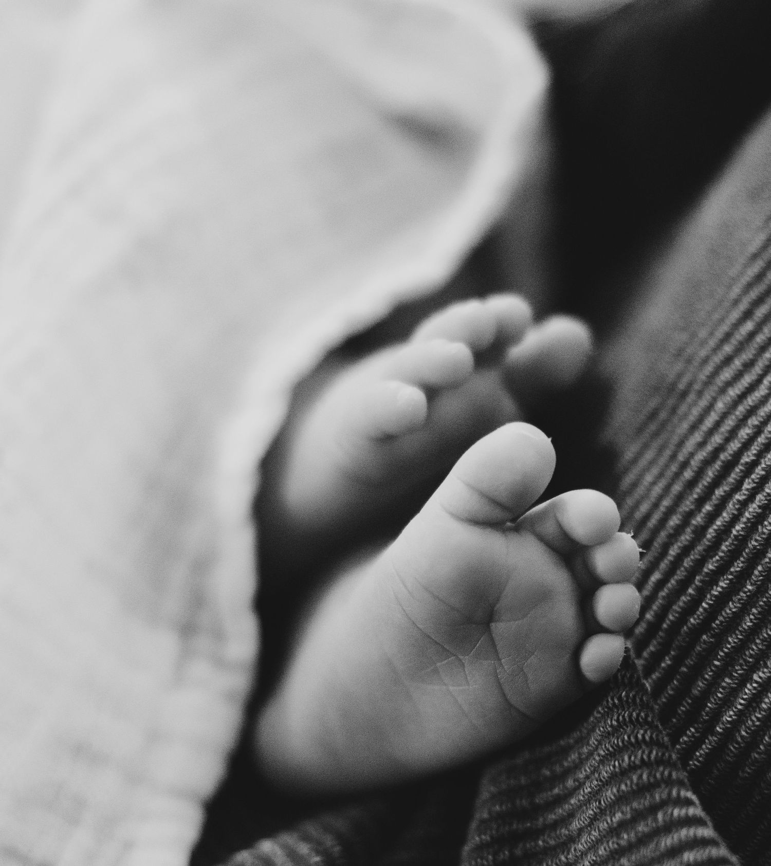 Black and white close-up of tiny newborn baby feet peeking from blanket.