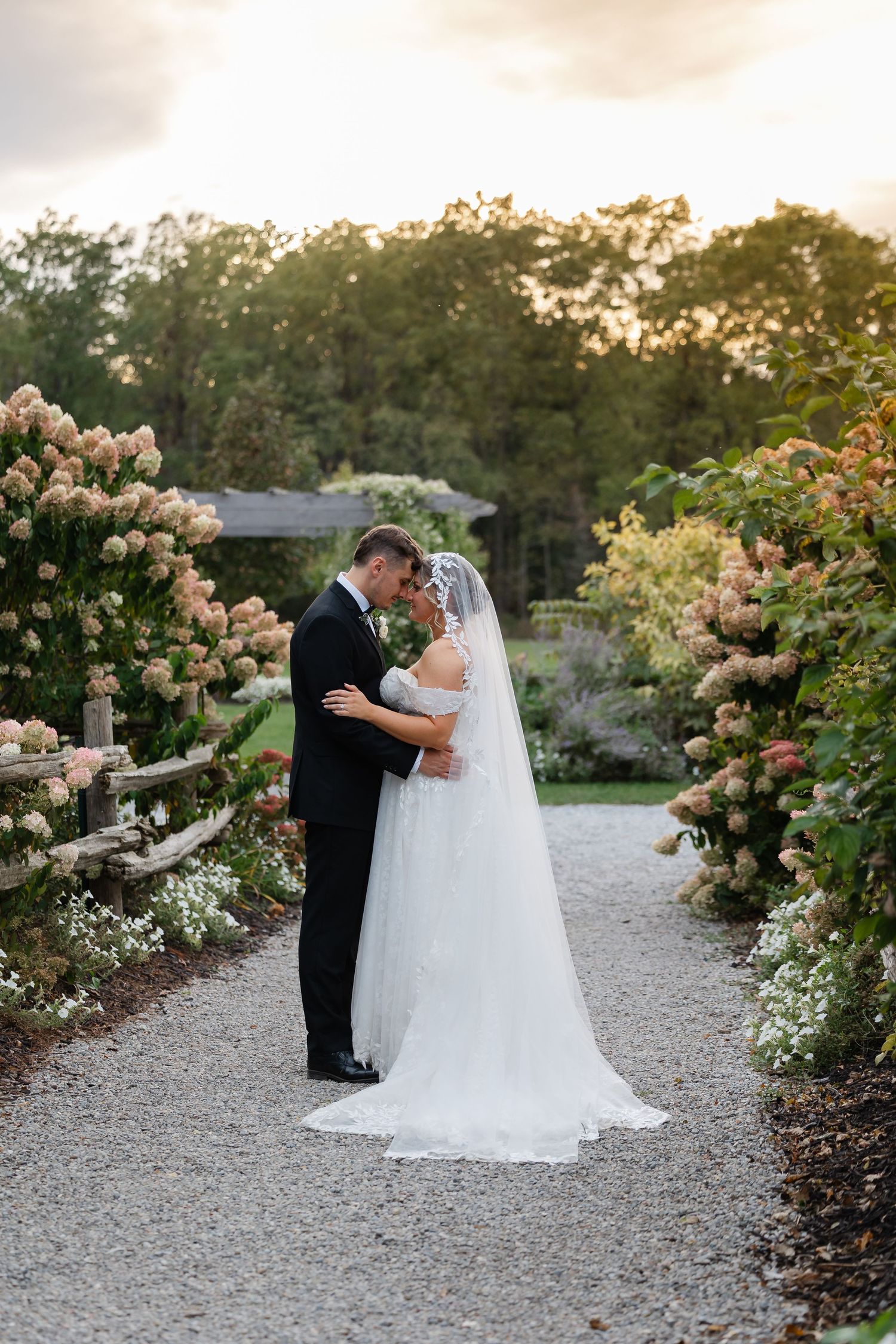 Bride in a white gown and veil embraces her groom in a black suit on a gravel path lined with blooming hydrangeas at sunset.