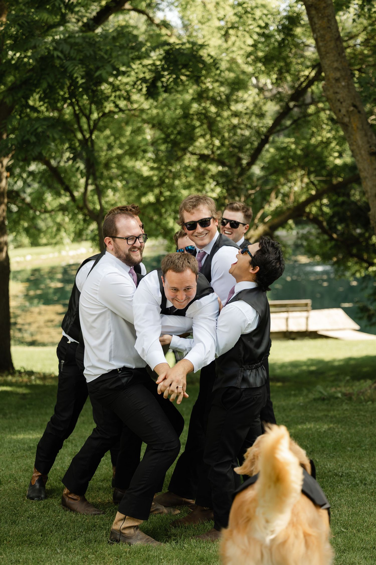 Groomsmen playfully lifting the groom outdoors on a sunny day, with a golden retriever nearby at a wedding celebration.