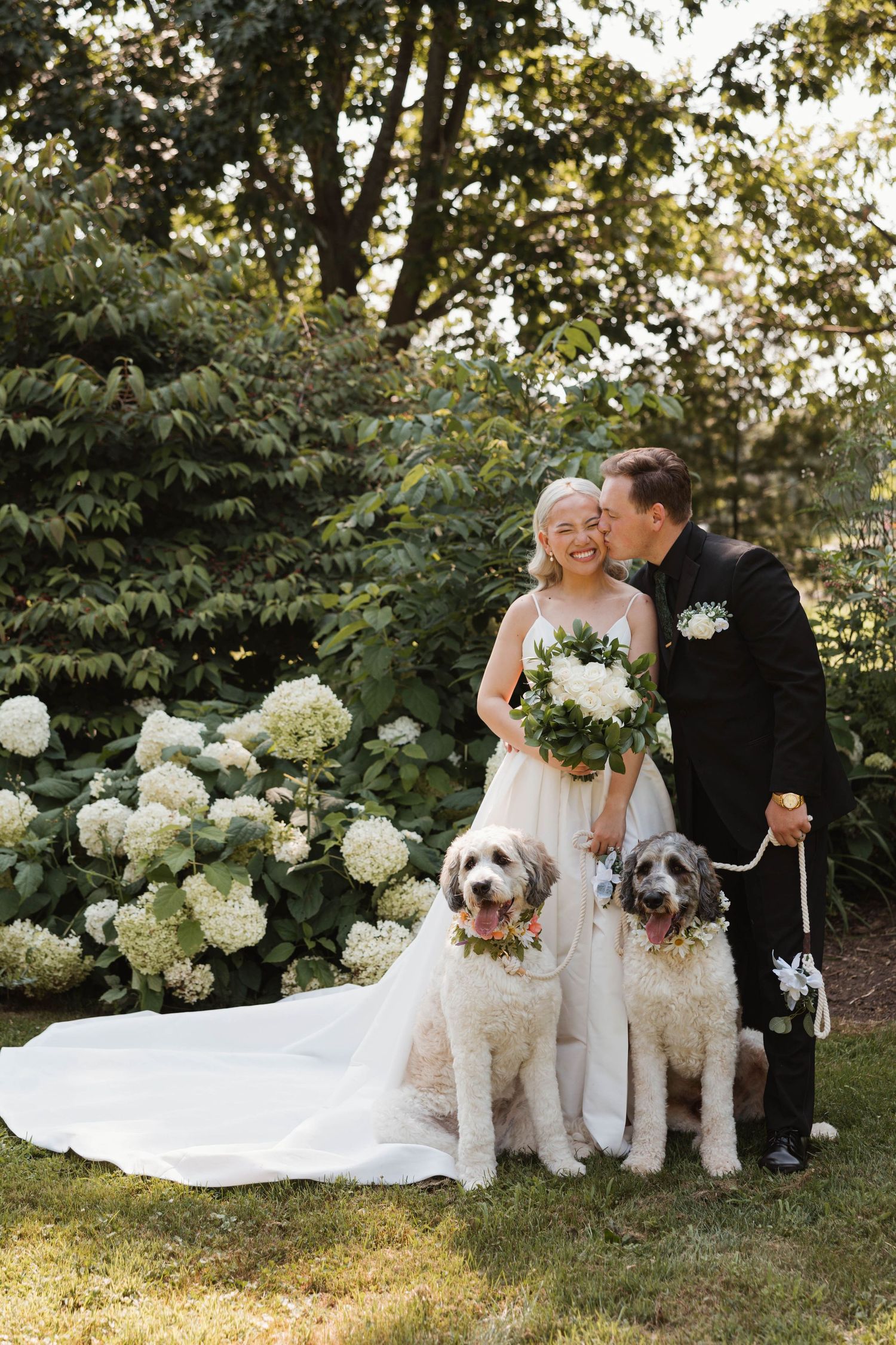 Bride and groom pose with two fluffy dogs beside white hydrangea bushes in a lush garden.