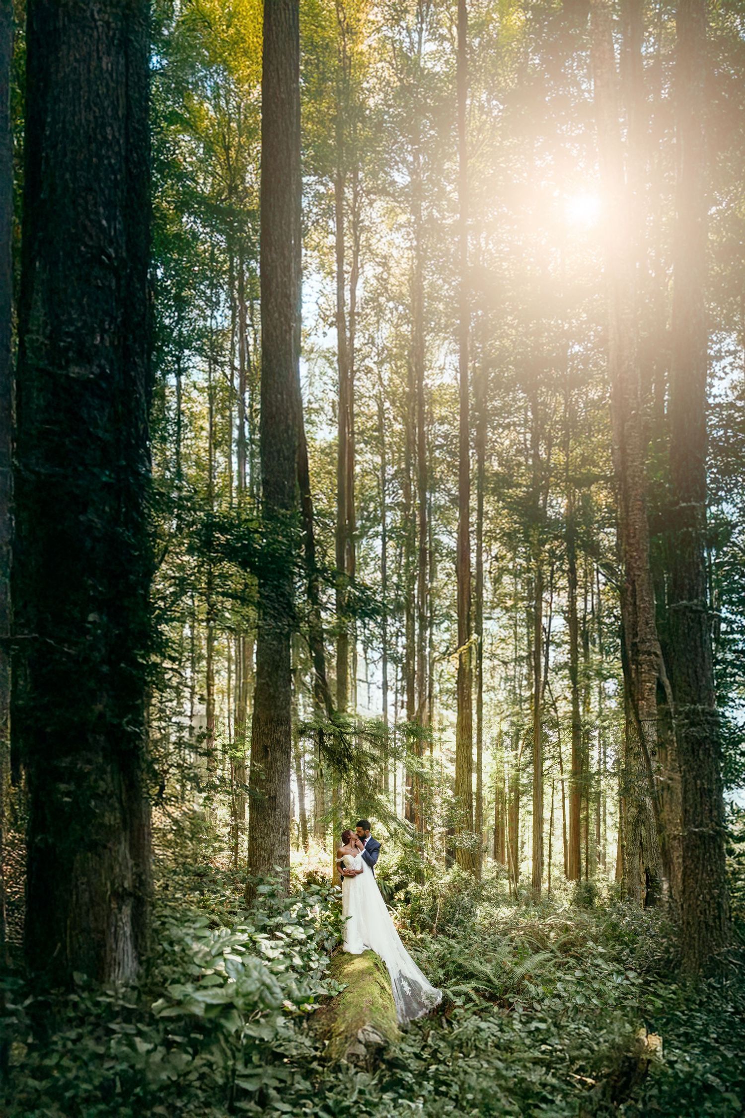 Bride in white wedding dress stands among tall evergreen trees with sunlight streaming through the forest canopy.