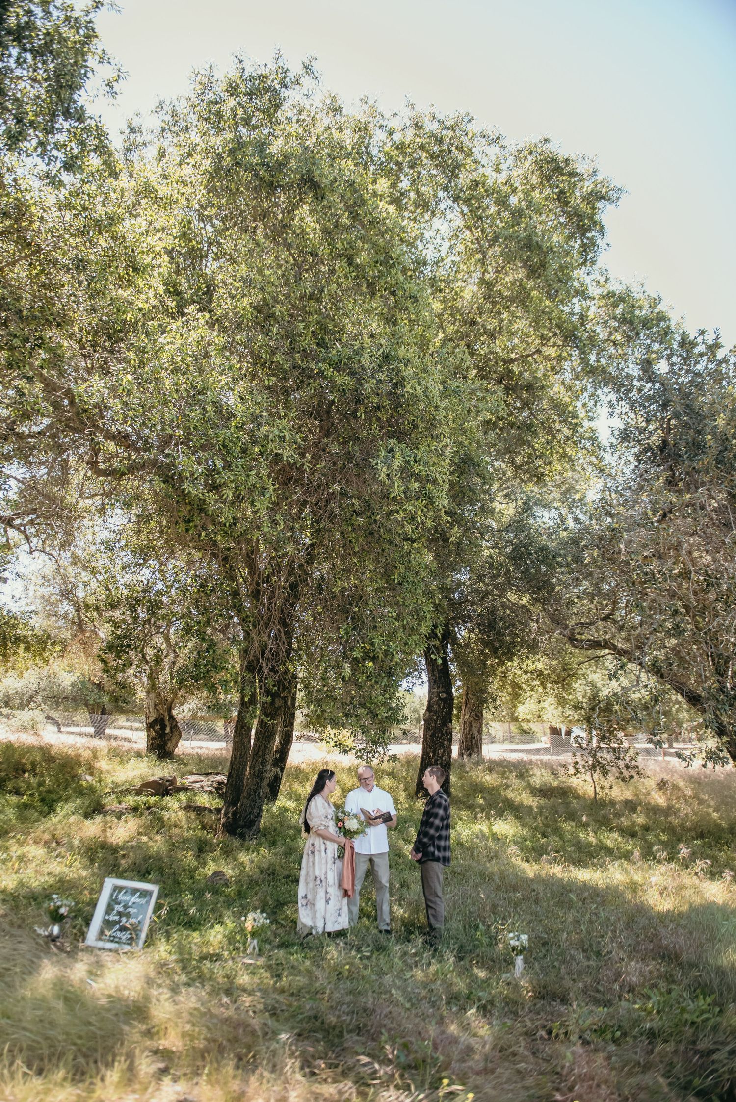 Three people gather under large olive trees in a sunlit field during an outdoor ceremony.