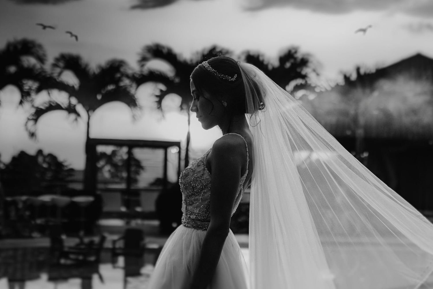 Novia pensativa con velo largo en blanco y negro.