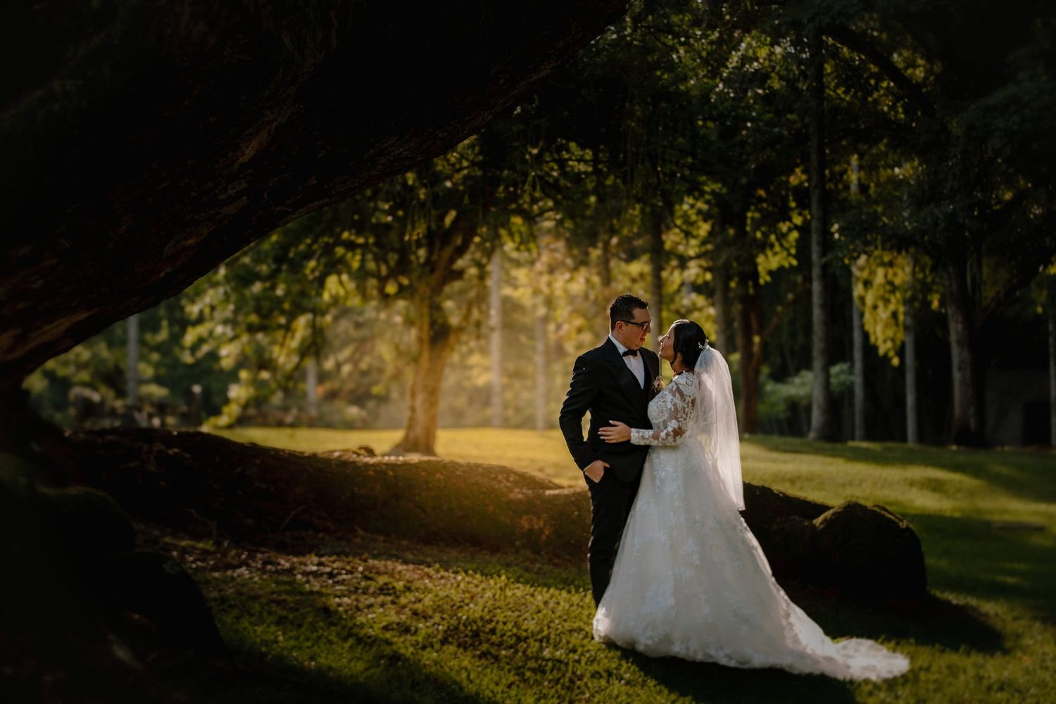 Couple in wedding attire stands under trees in backlit sunset with dramatic lighting and shadows in a park setting.