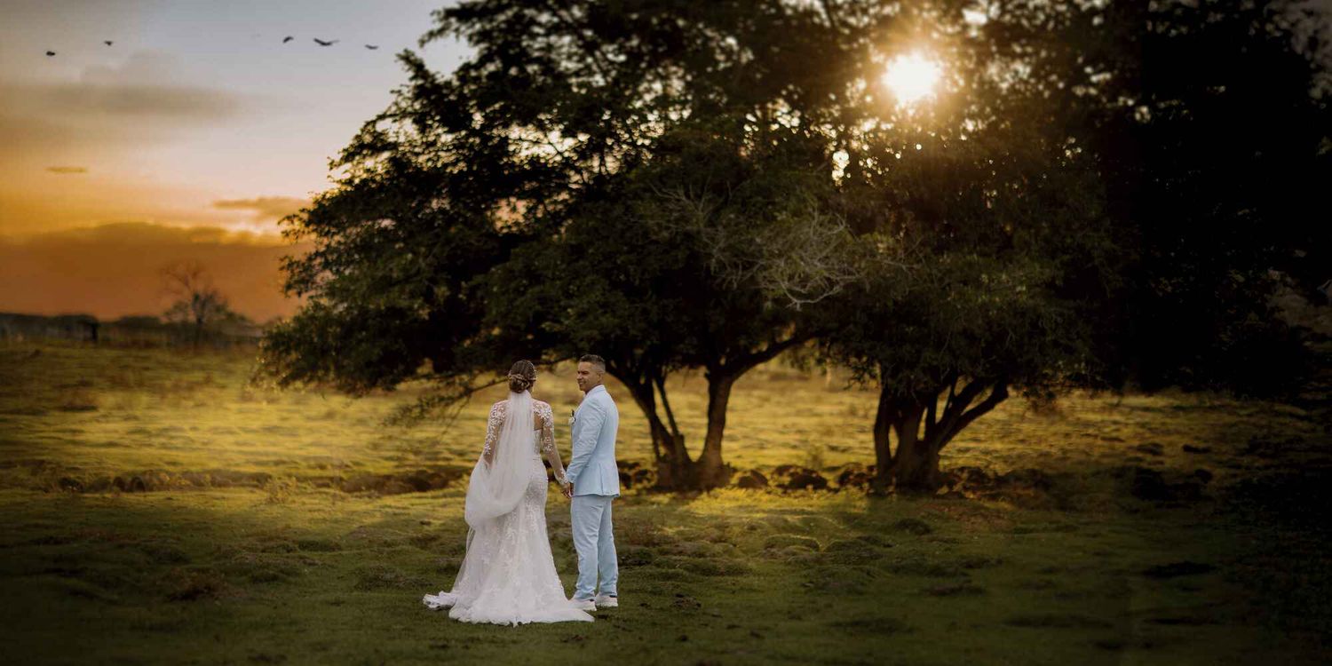 A couple stands in silhouette against a golden sunset on a grassy hillside with trees creating a romantic atmosphere.
