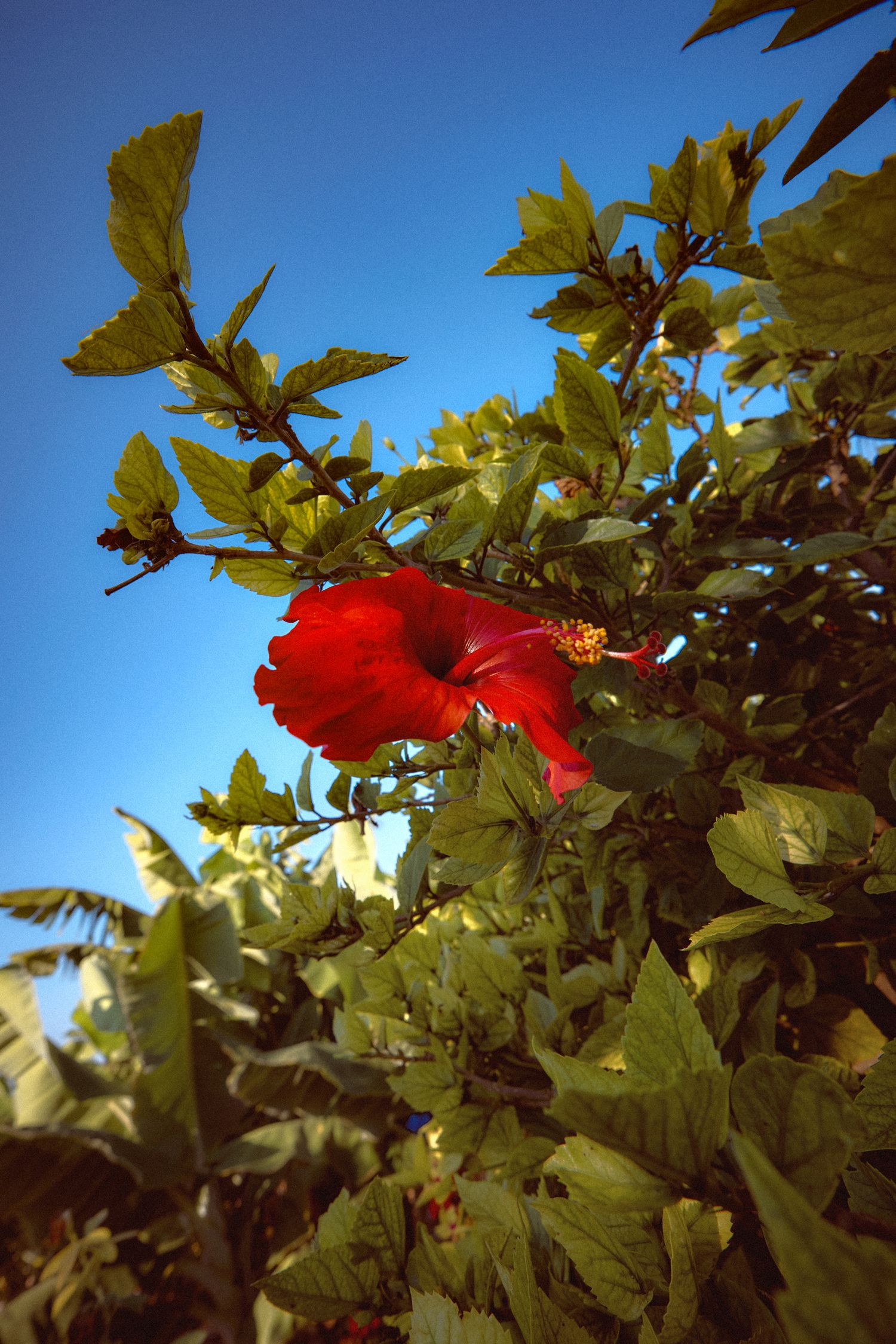travel photography by Jenni Helin London based lifestyle photographer director