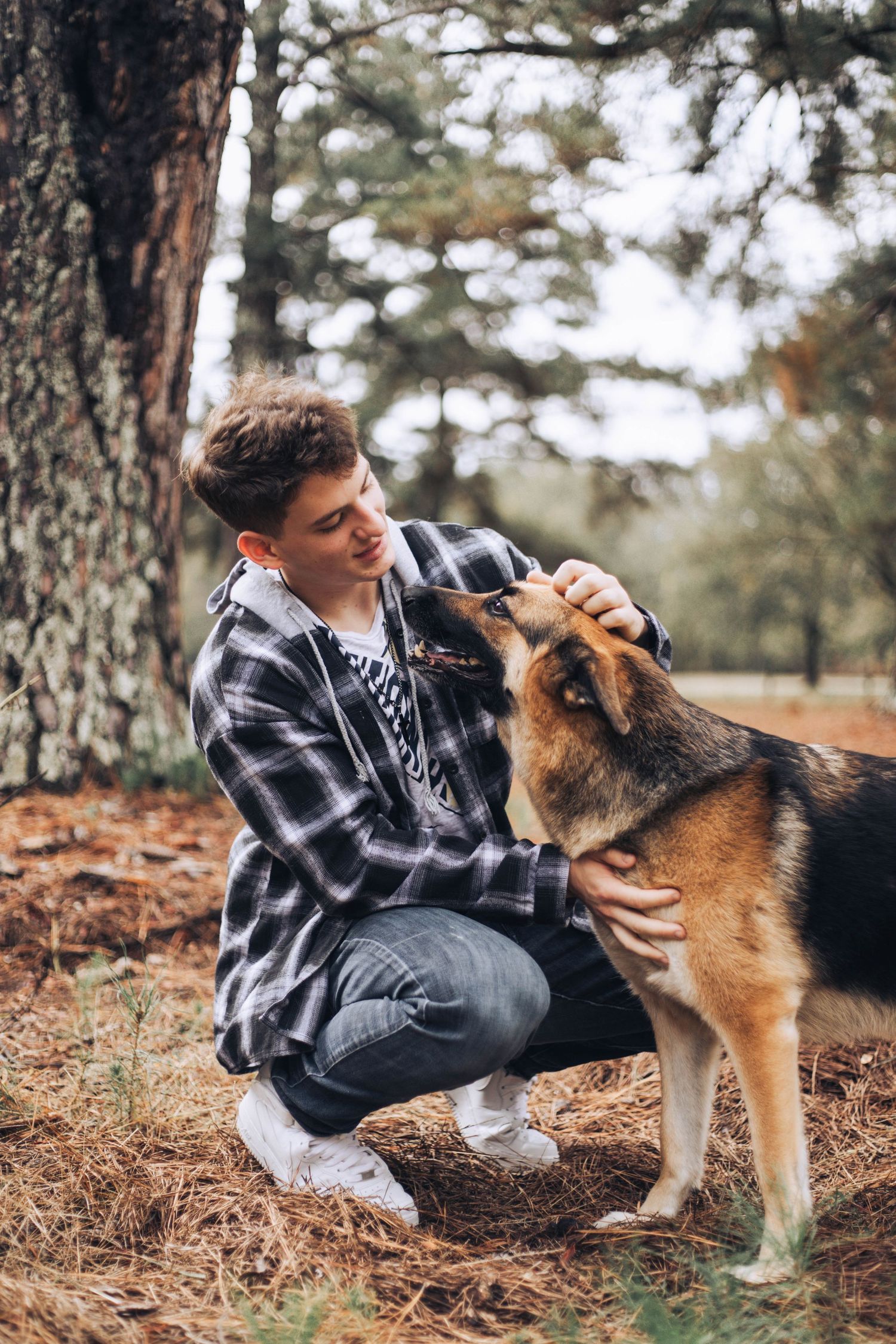 Person in plaid shirt plays with German Shepherd mix dog on forest ground covered in pine needles.