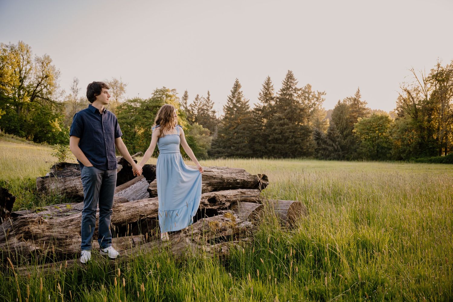 Couple holding hands near rustic logs in a sunlit green meadow surrounded by trees at golden hour.