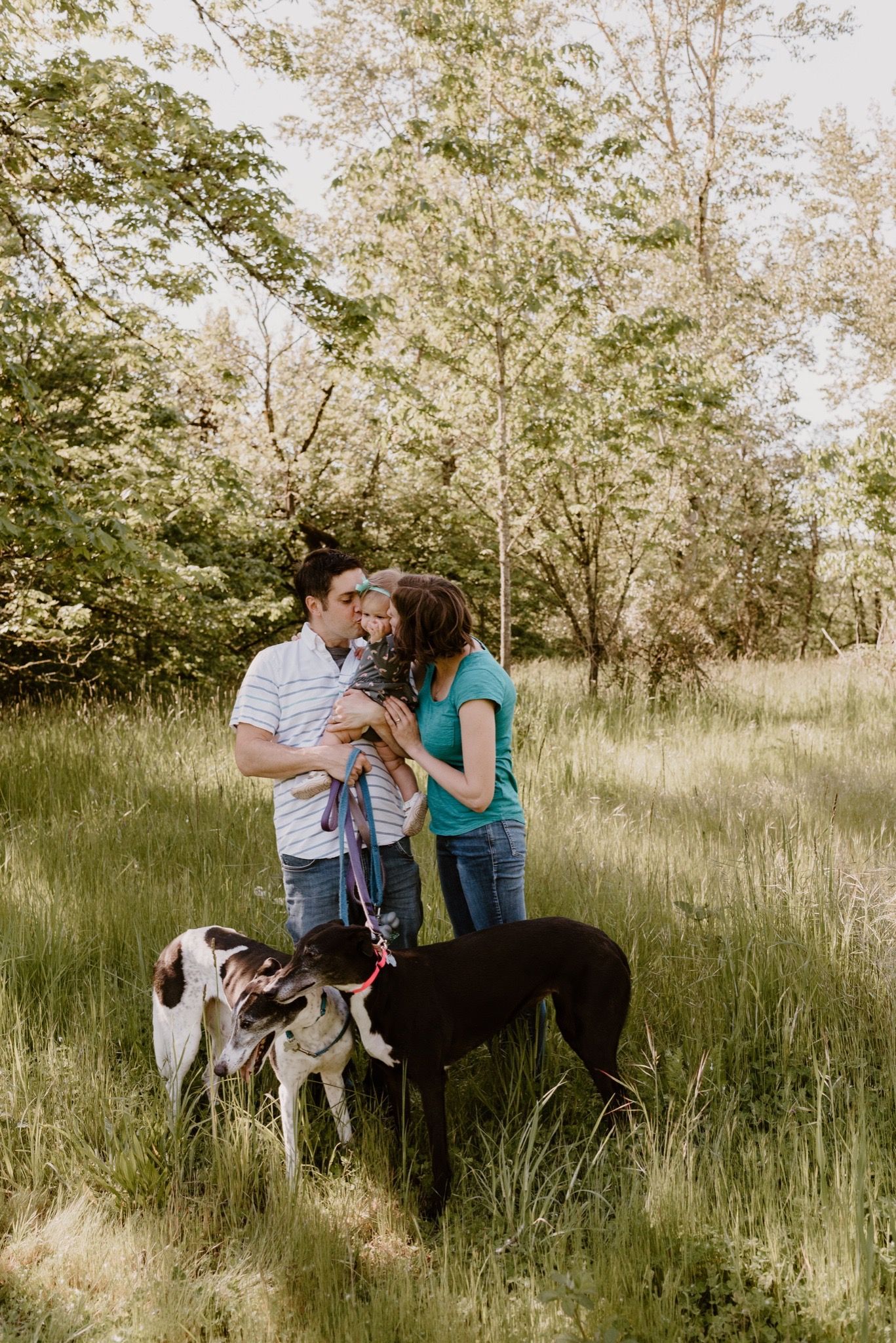Couple sharing intimate moment in field with two dogs.