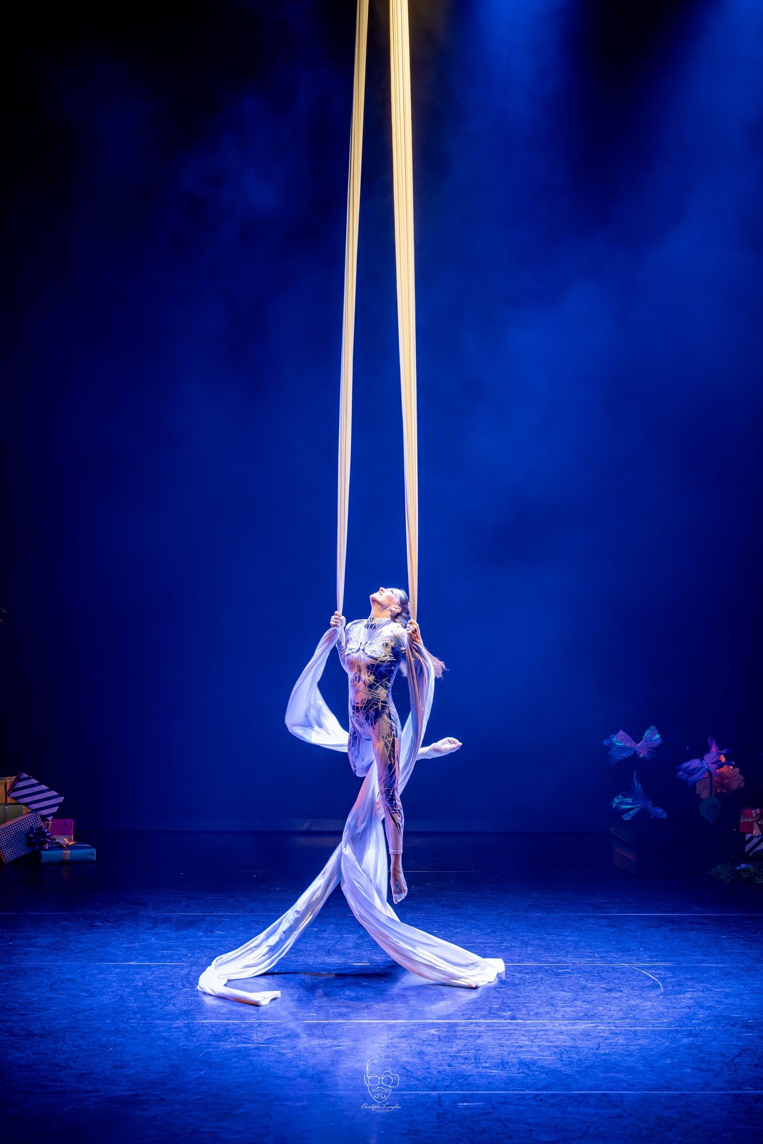 Aerial silk performer in a sparkly costume gracefully suspended against dramatic blue stage lighting during circus performance.