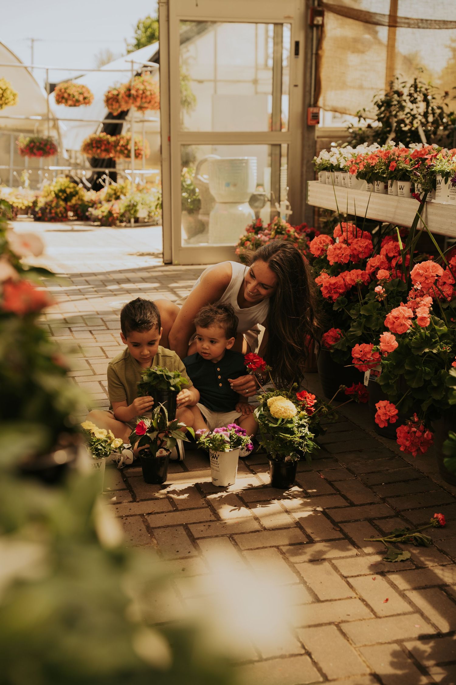 Two people sit together among vibrant coral-colored flowers in a bright greenhouse setting.
