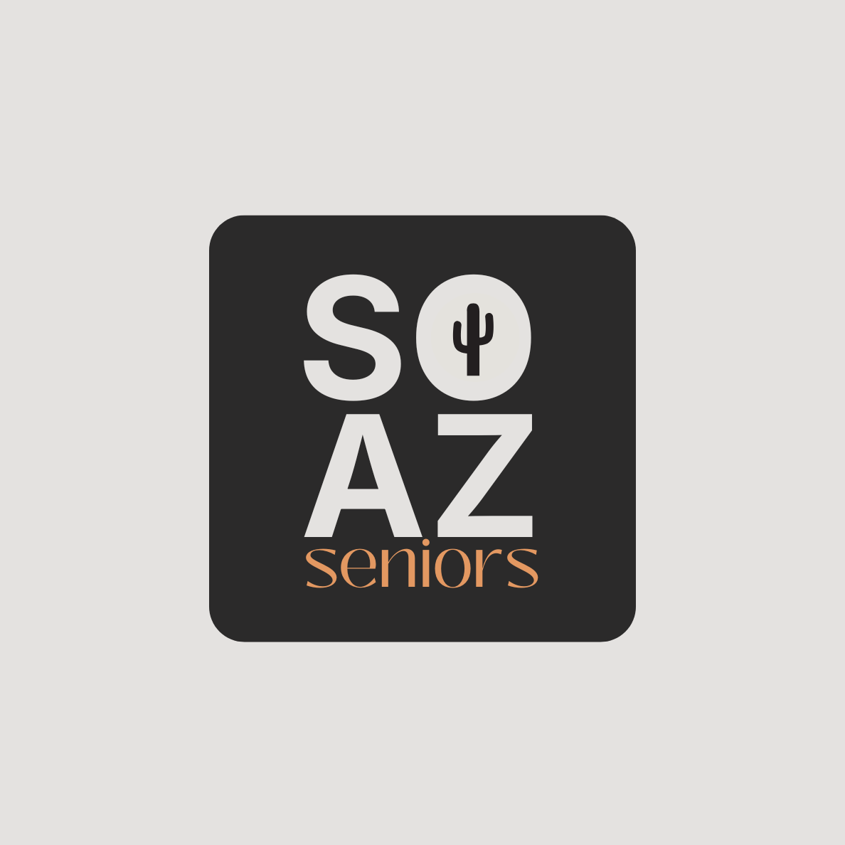 So.Az Seniors by Amanda Sue Photography
High school Senior Photography
