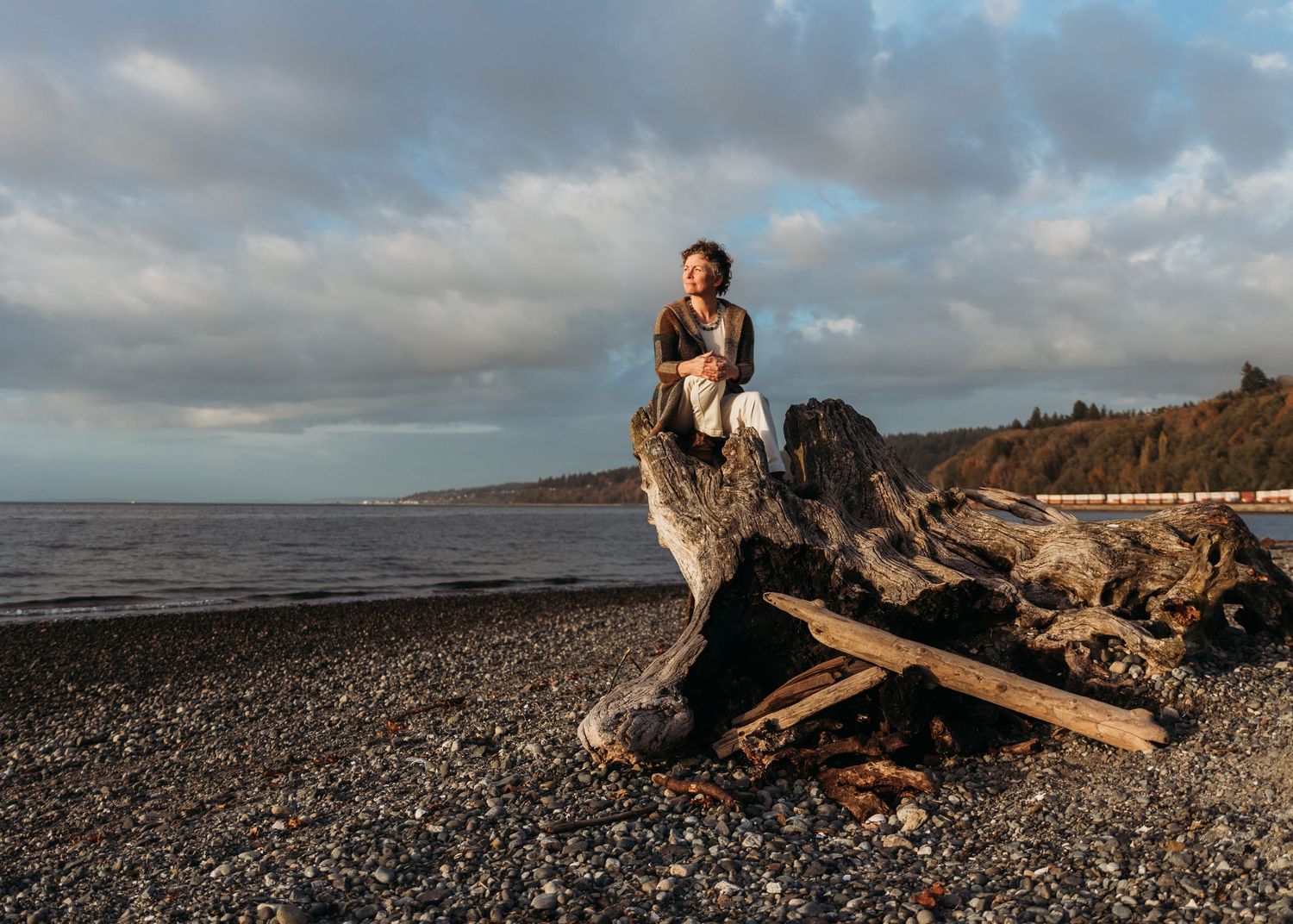 A dramatic coastal landscape with driftwood scattered across a rocky beach under moody cloudy skies at sunset.