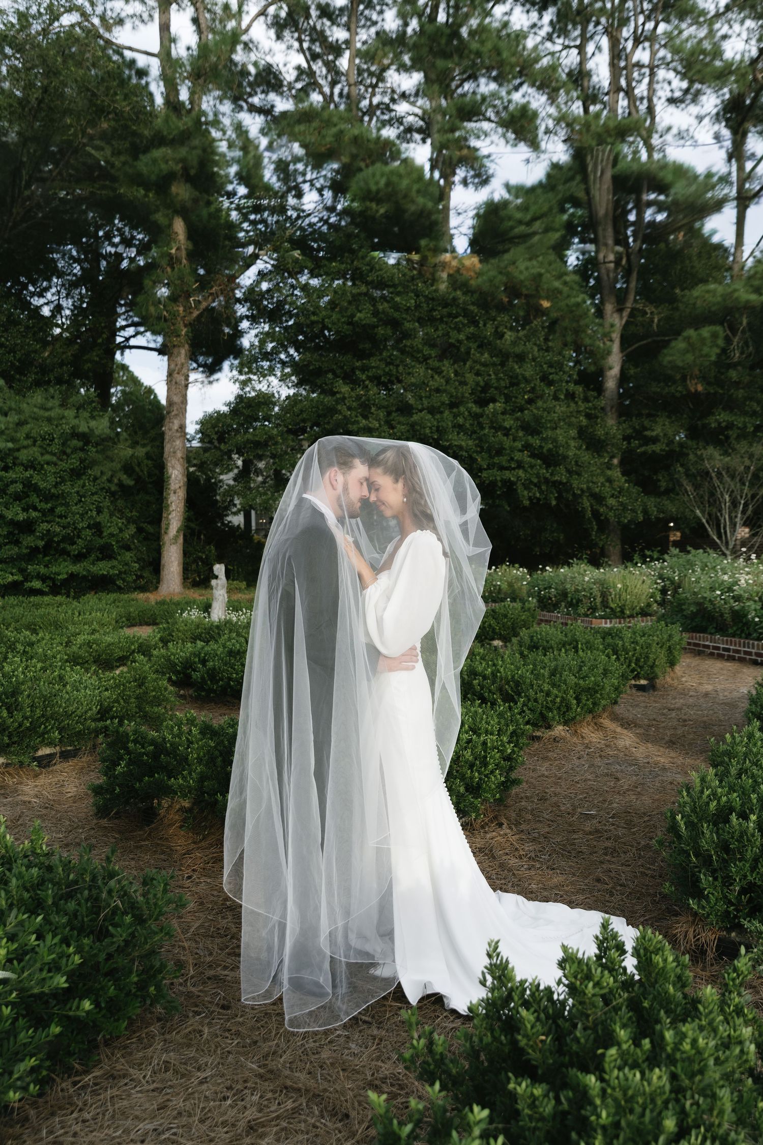 A sequence of wedding photos showing a flowing white veil and dress against a backdrop of tall pine trees in a garden setting.