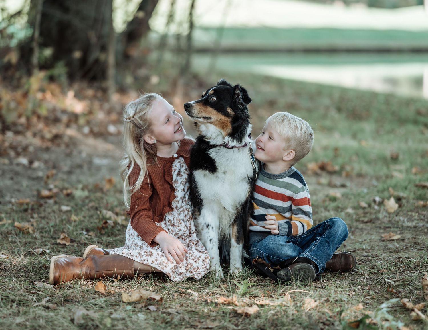 Two border collies share a sweet moment together on the ground in an outdoor autumn setting.