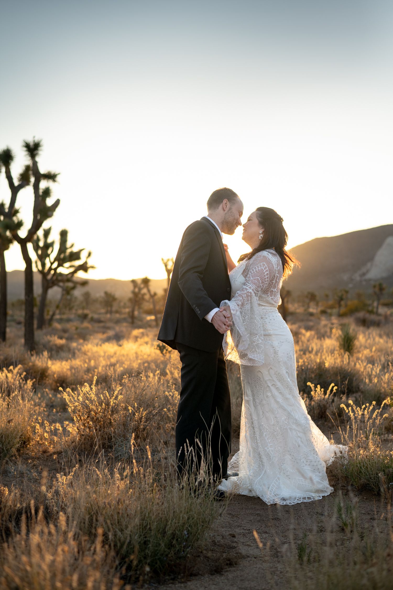 A romantic wedding couple embraces at sunrise in Joshua Tree National Park surrounded by desert flora.