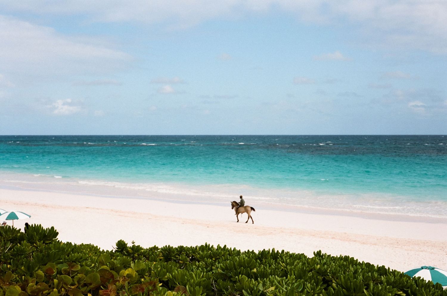 Panoramic collage of pristine turquoise ocean waters and white sandy beaches with palm trees along a tropical coastline.