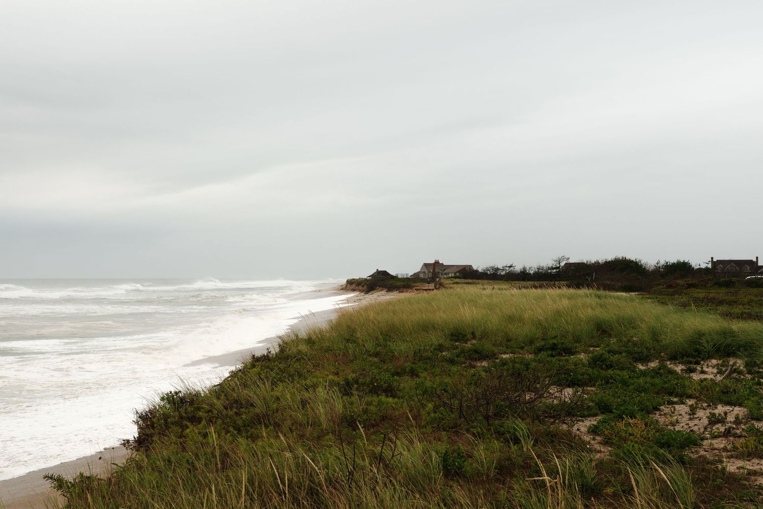 Scenic coastal landscape with rolling green hills overlooking a misty ocean beach under cloudy skies.